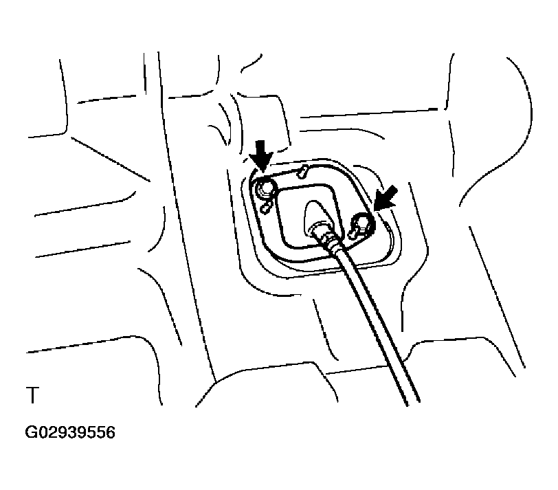 G02939556