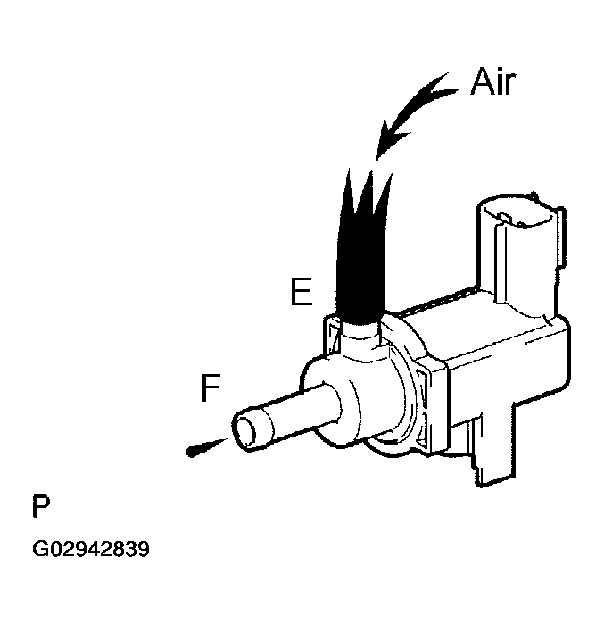 G02942839