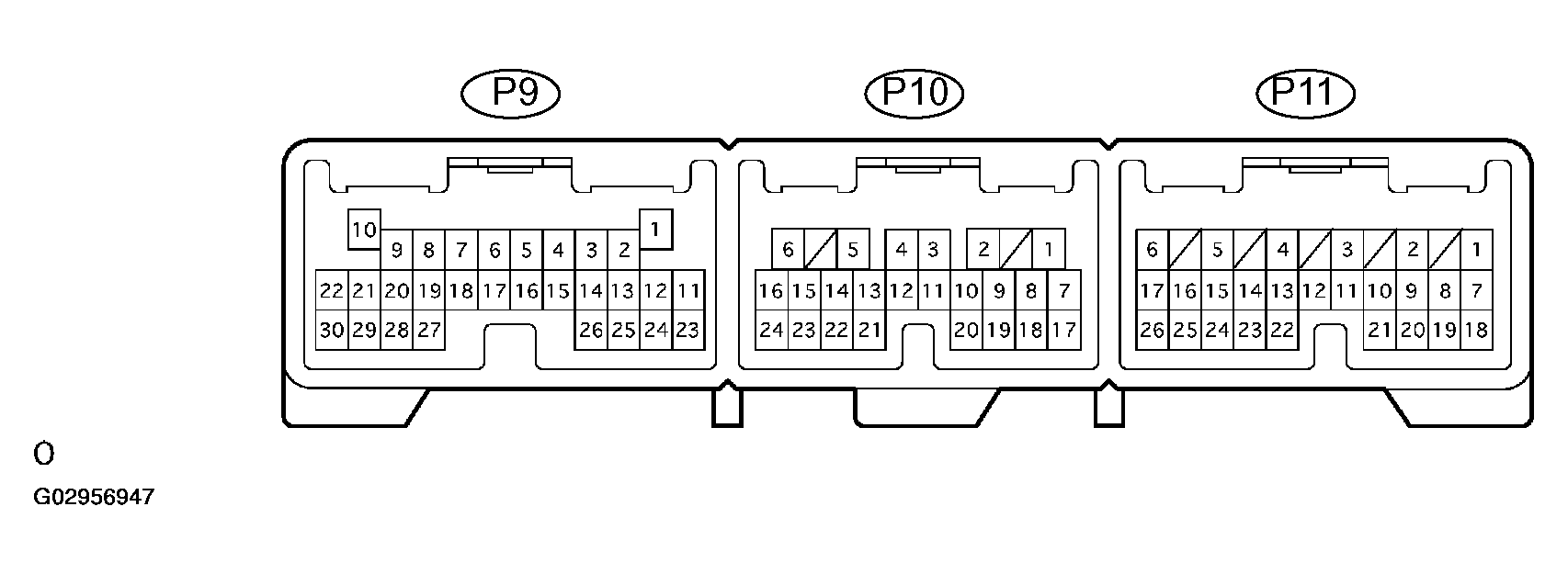 G02956947