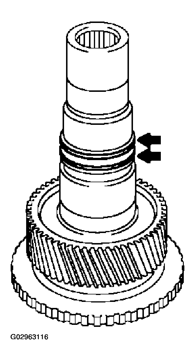 G02963116