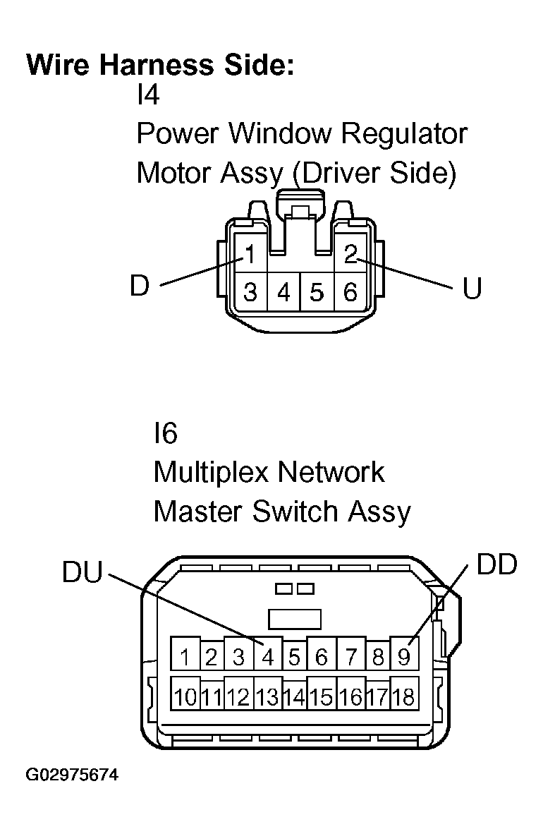 G02975674