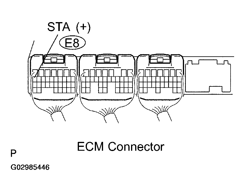 G02985446