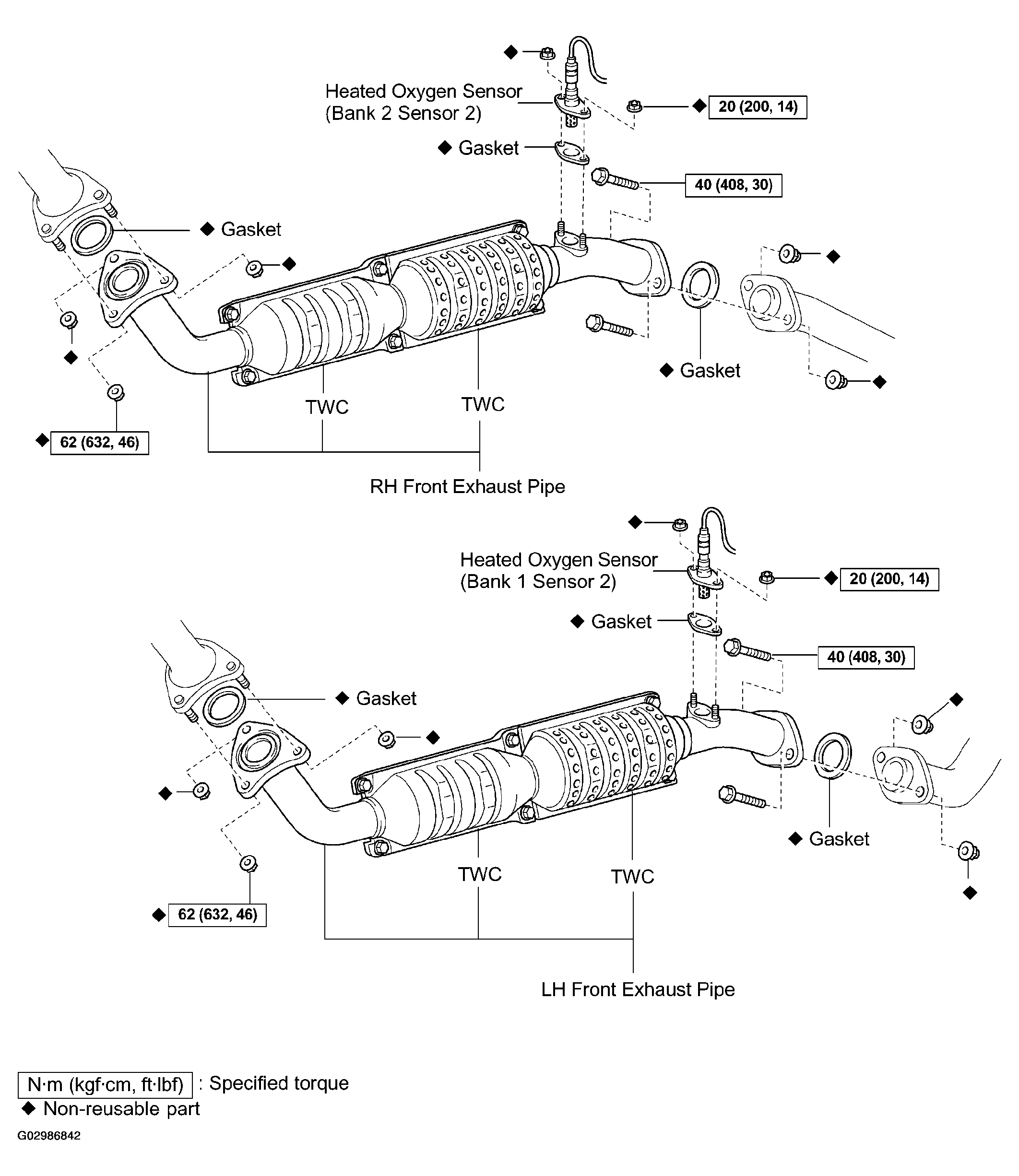 G02986842