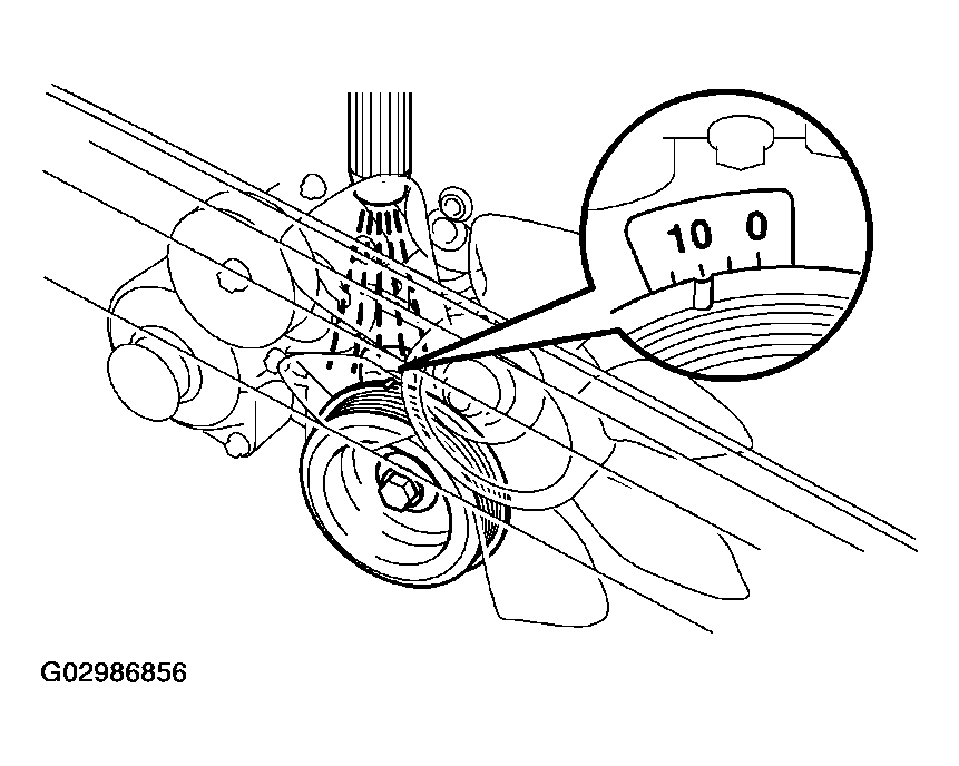 G02986856