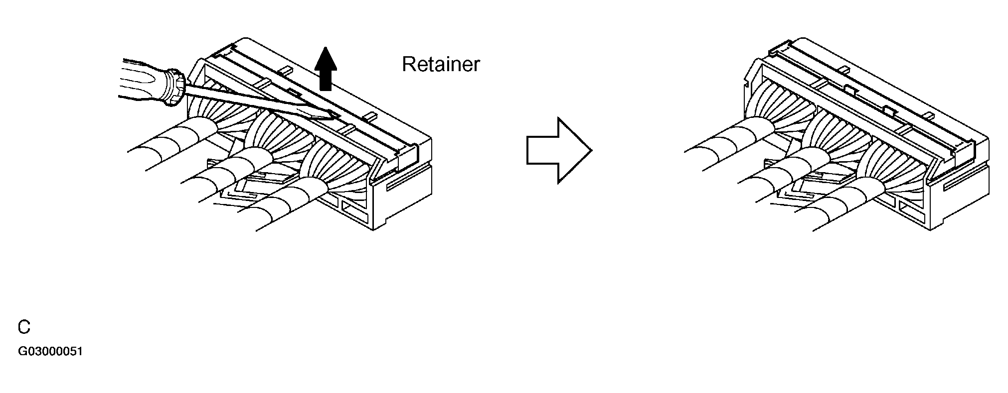 G03000051
