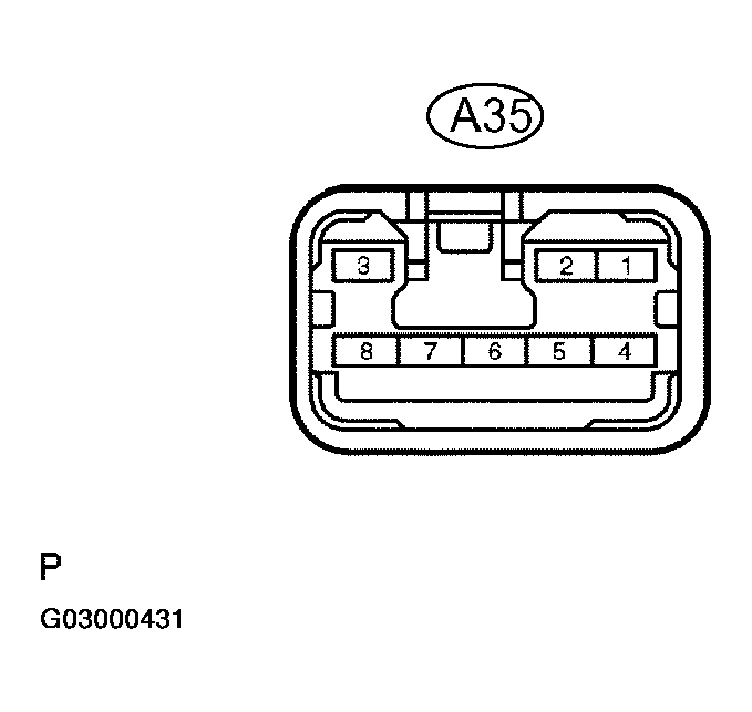 G03000431