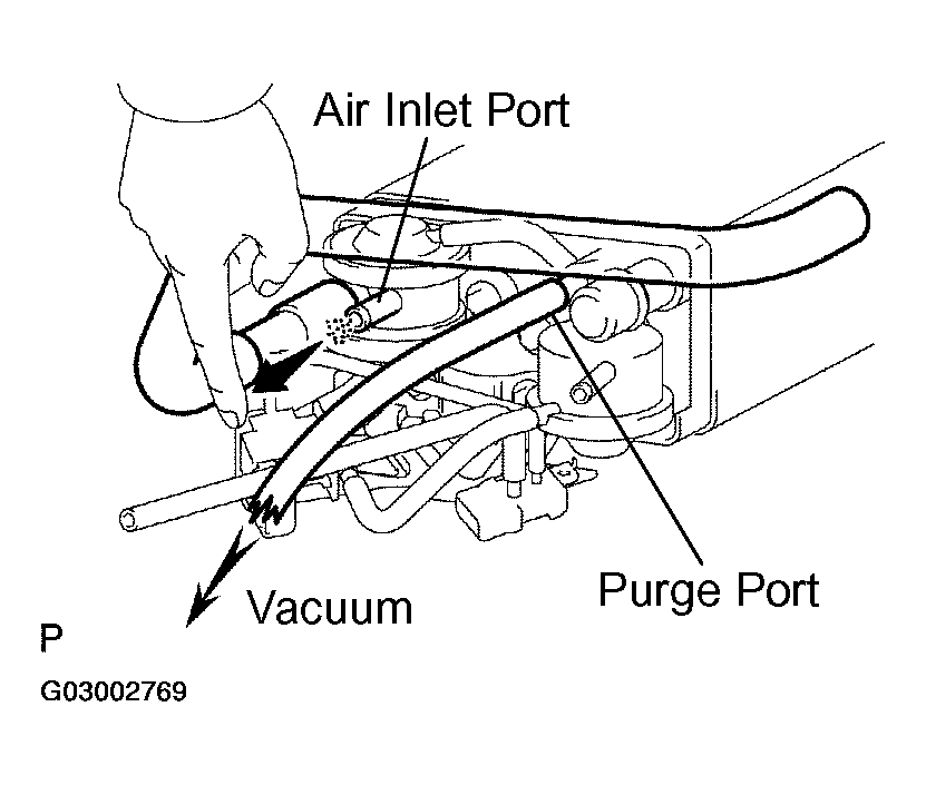 G03002769