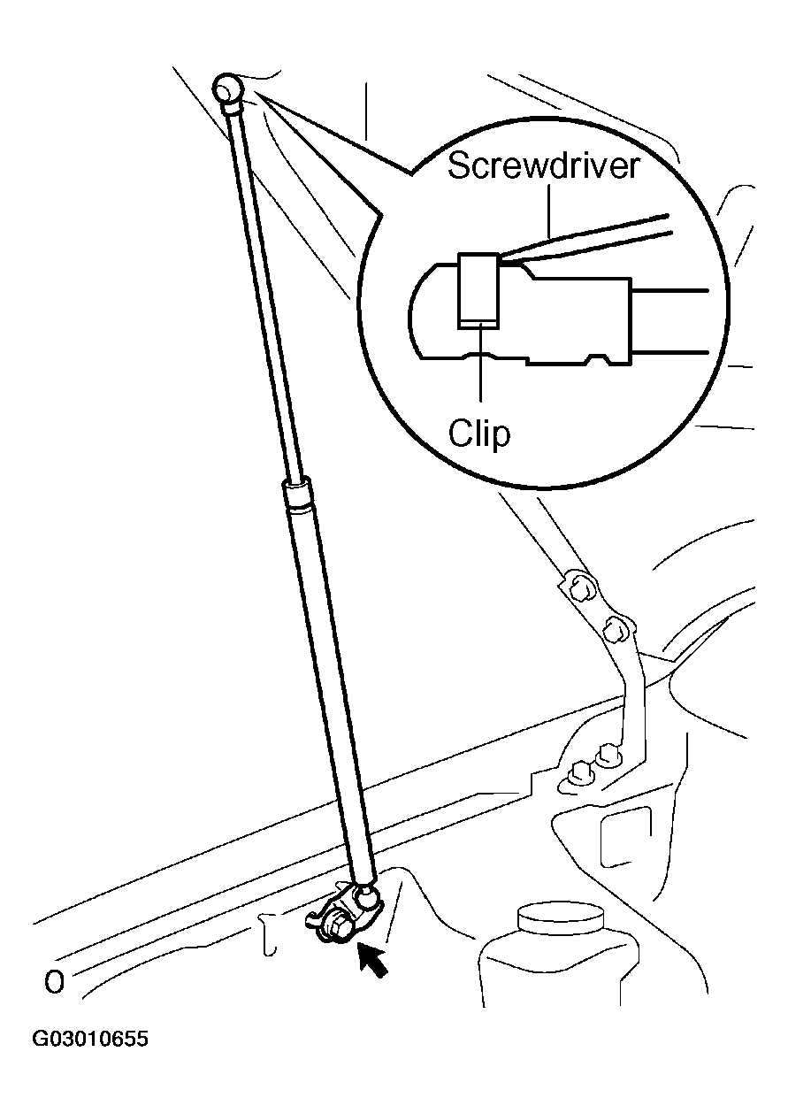 G03010655