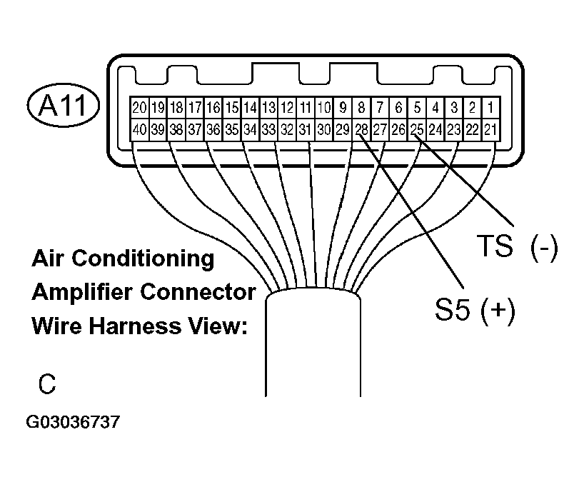 G03036737