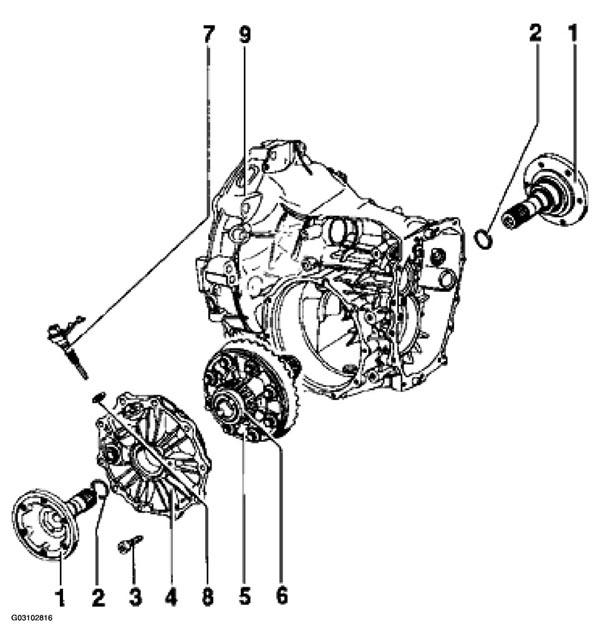 G03102816