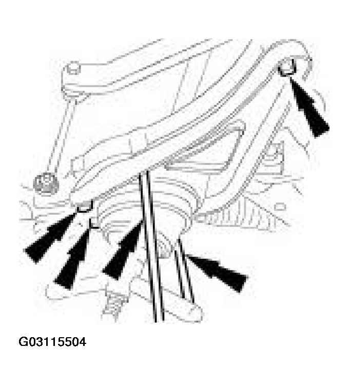 G03115504