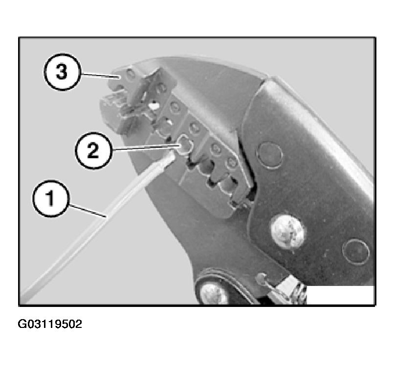 G03119502
