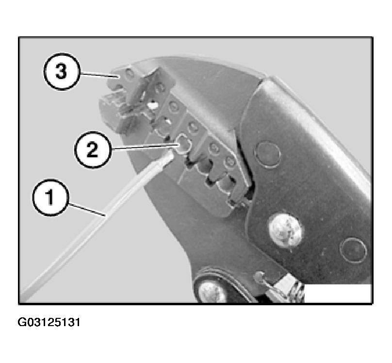 G03125131