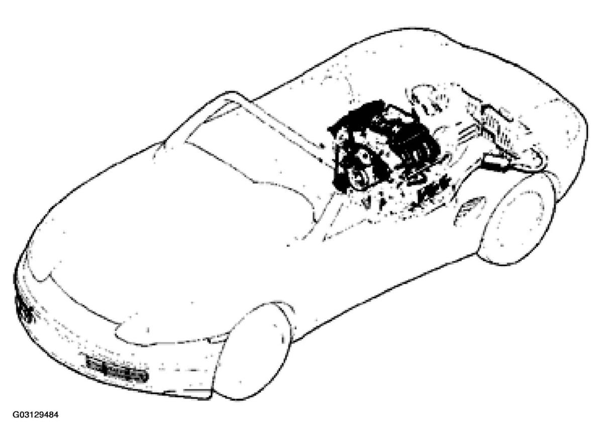 G03129484