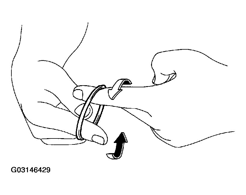 G03146429