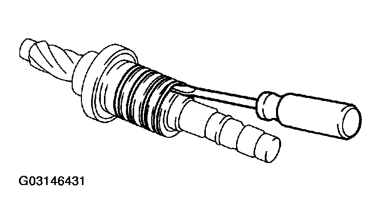 G03146431