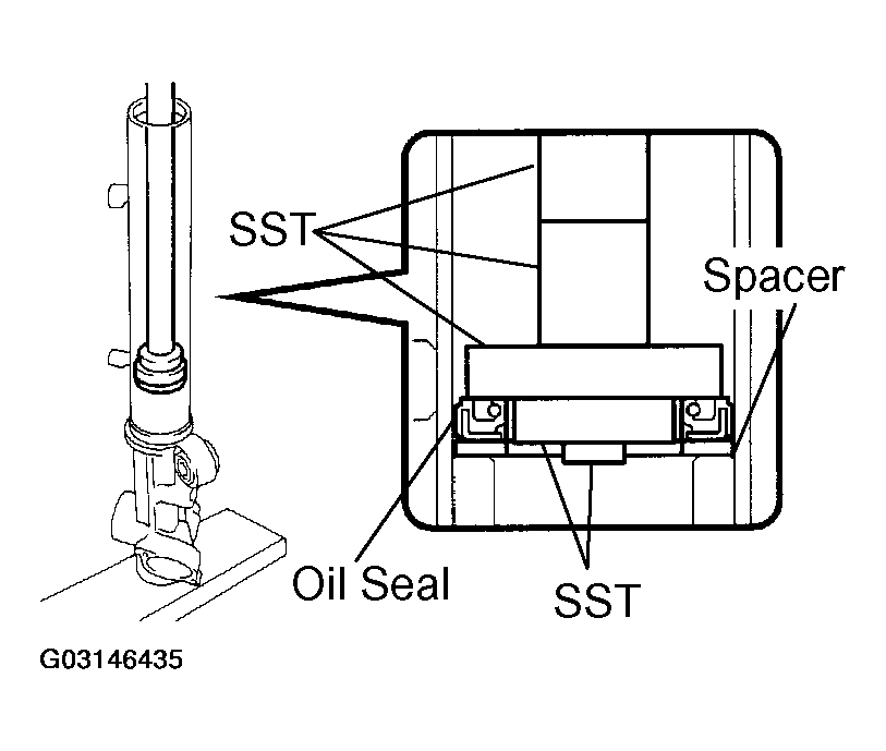 G03146435