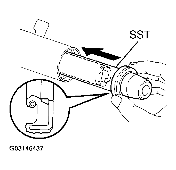G03146437
