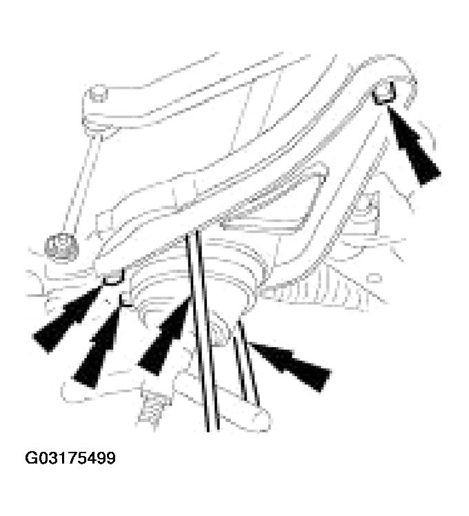 G03175499