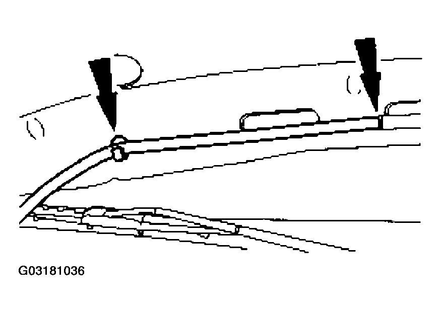 G03181036