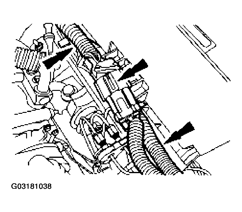 G03181038