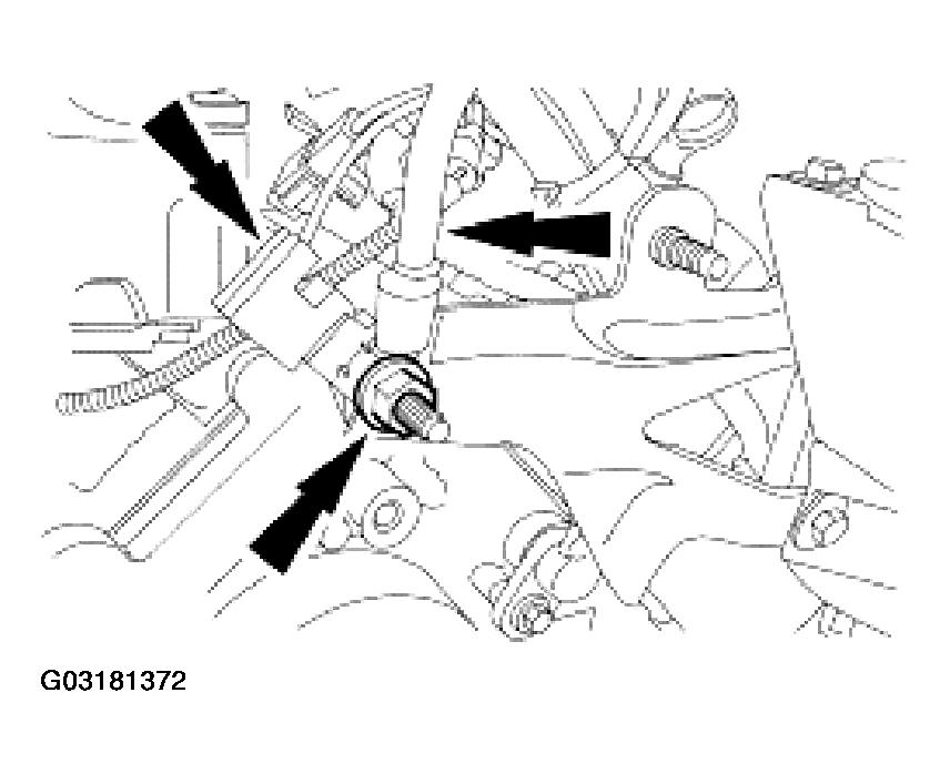 G03181372