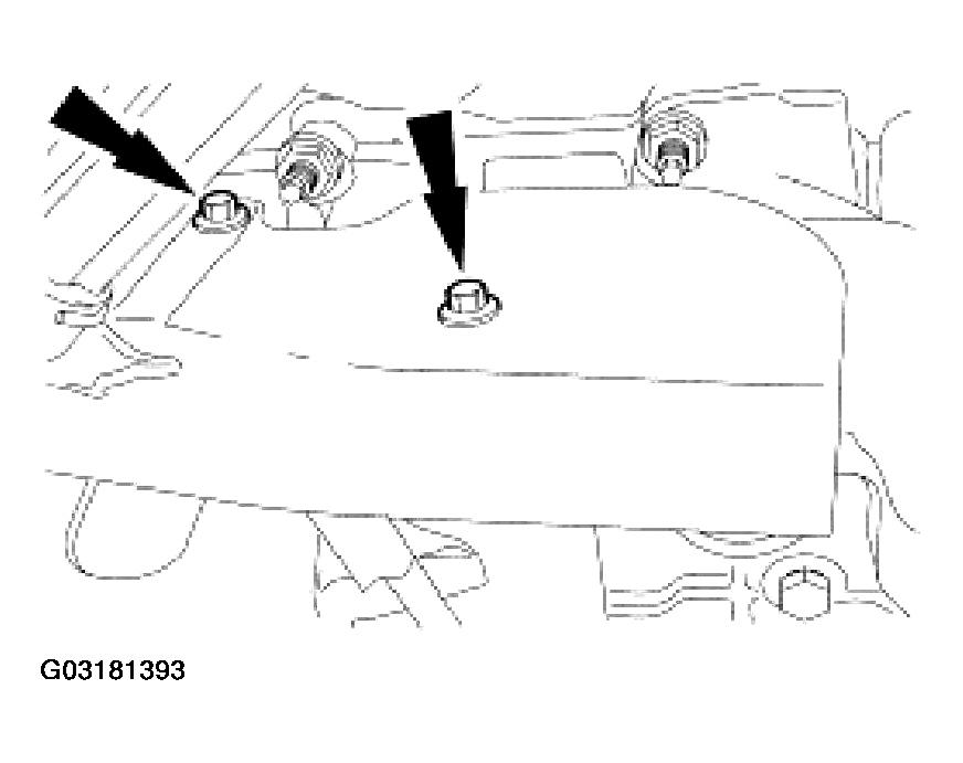 G03181393