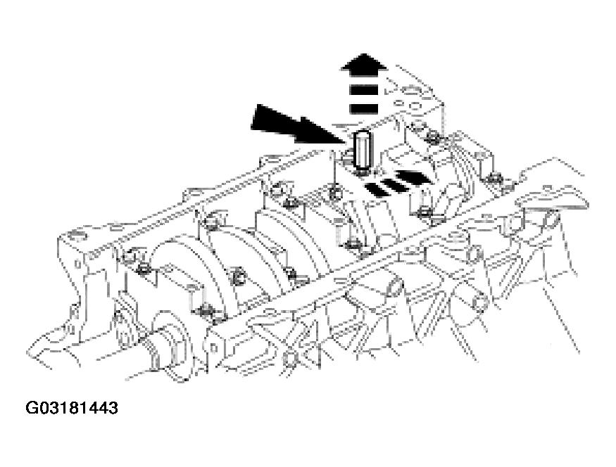 G03181443
