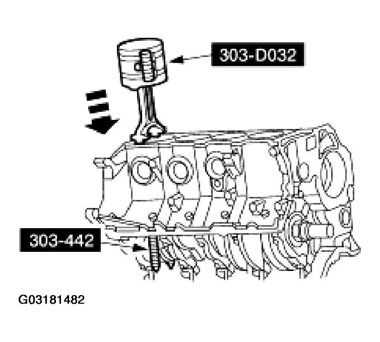 G03181482