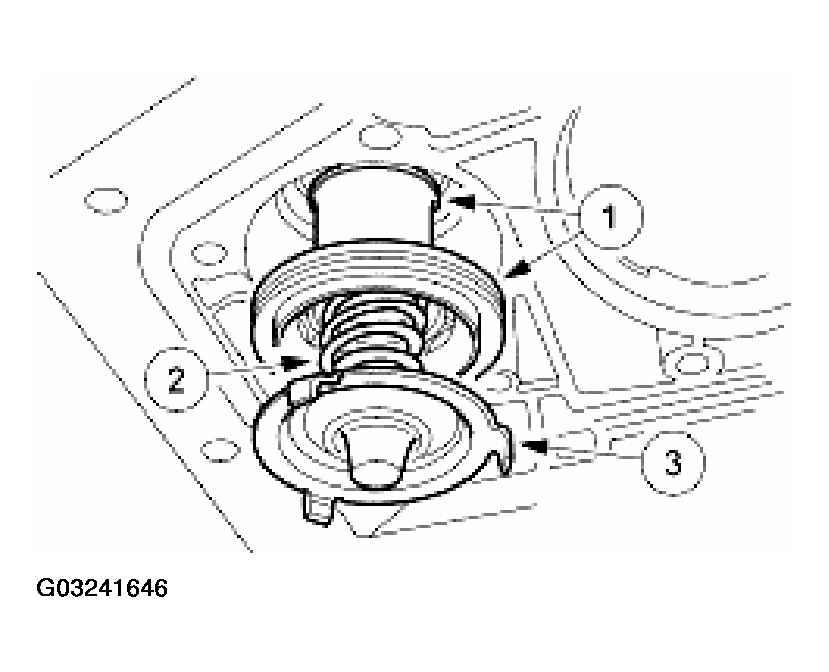 G03241646