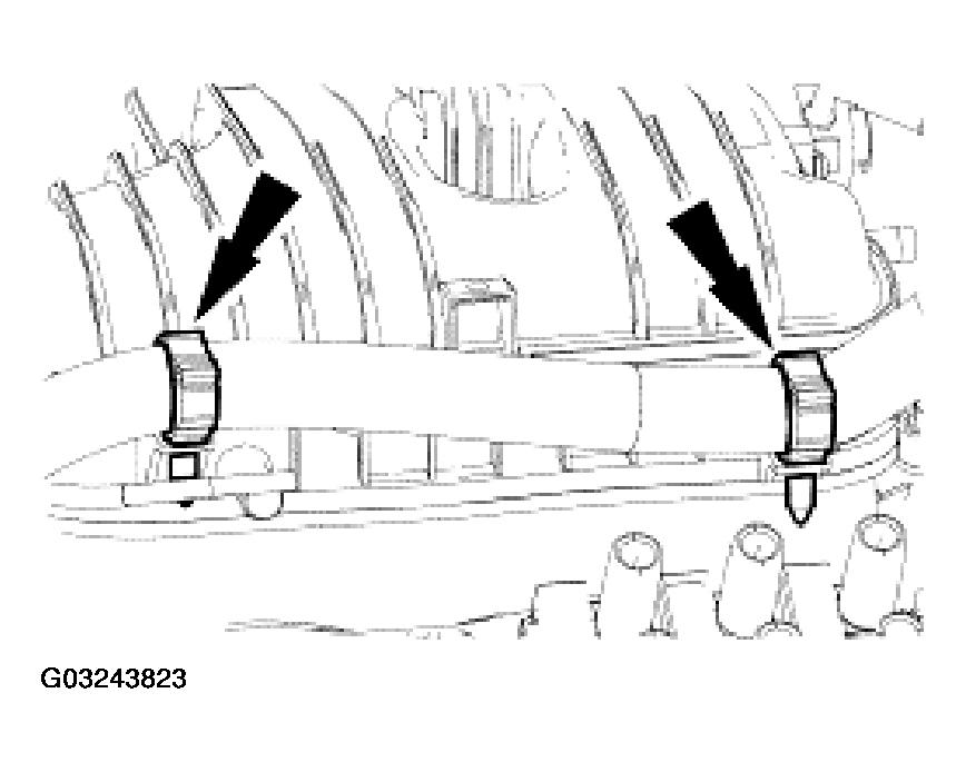 G03243823