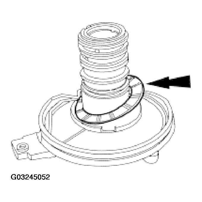 G03245052