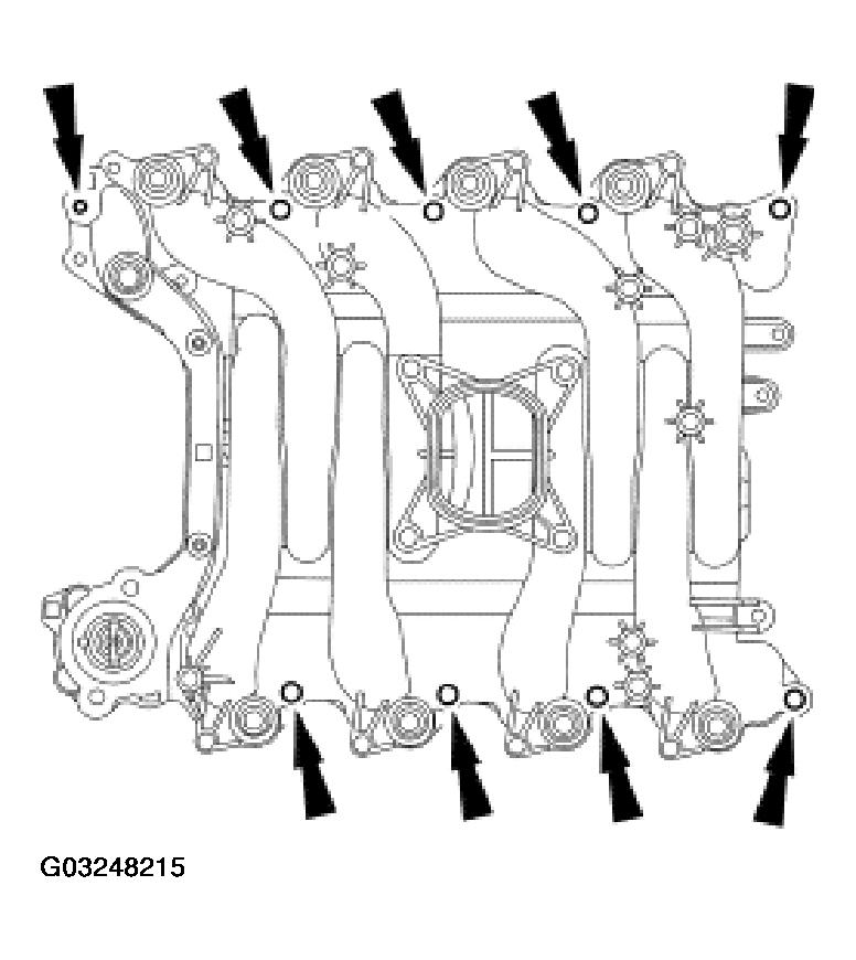 G03248215