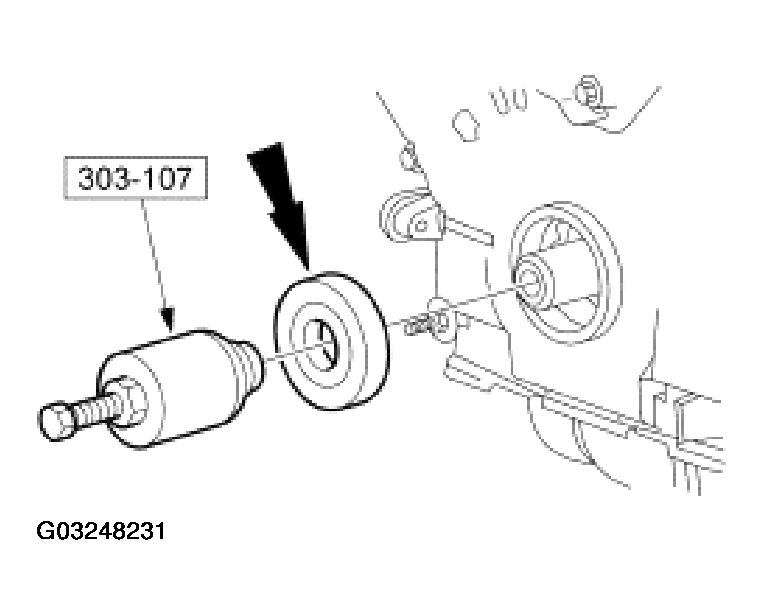 G03248231