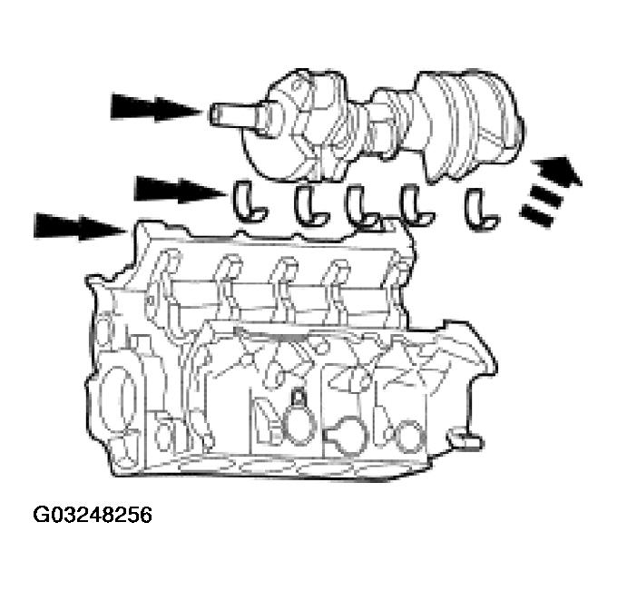 G03248256