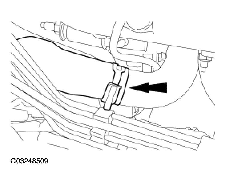 G03248509