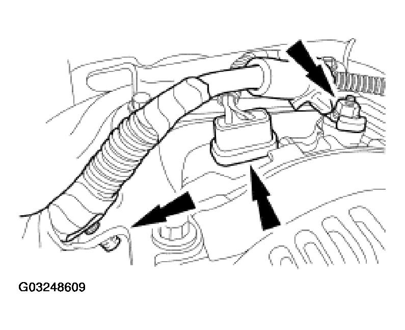 G03248609