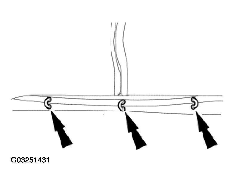 G03251431