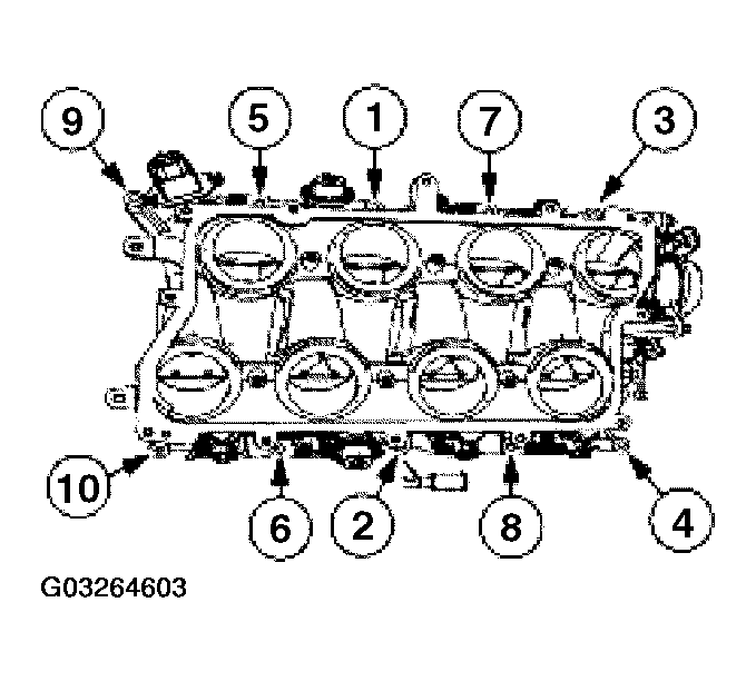 G03264603