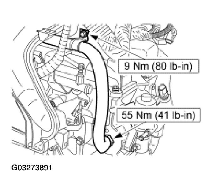 G03273891