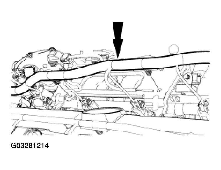 G03281214