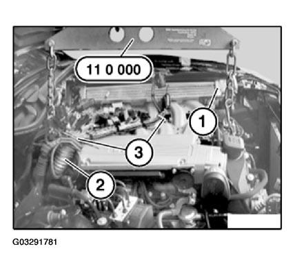 G03291781