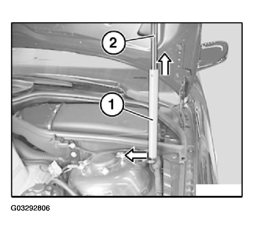 G03292806