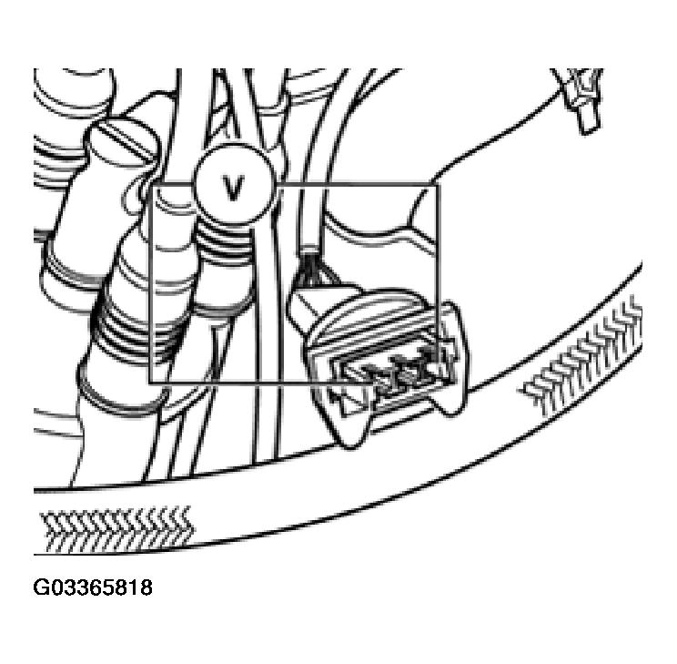 G03365818