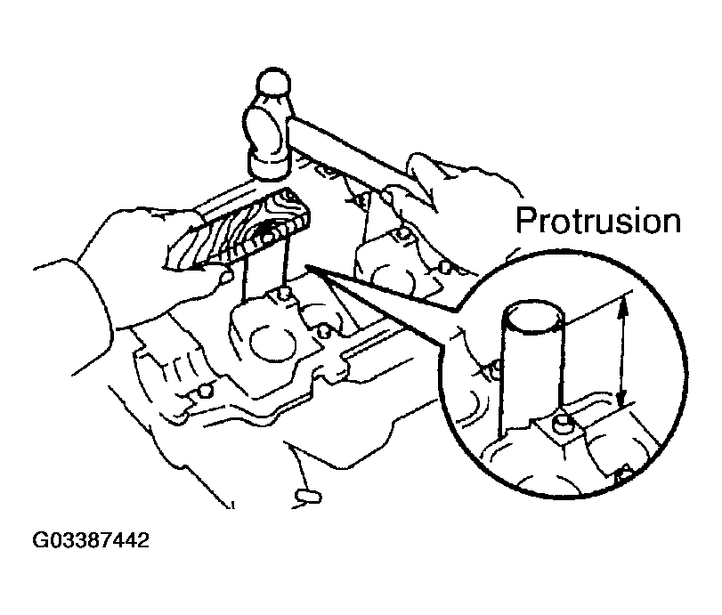 G03387442