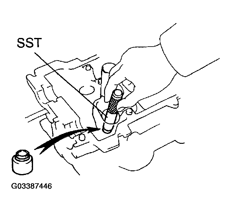G03387446