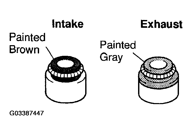 G03387447