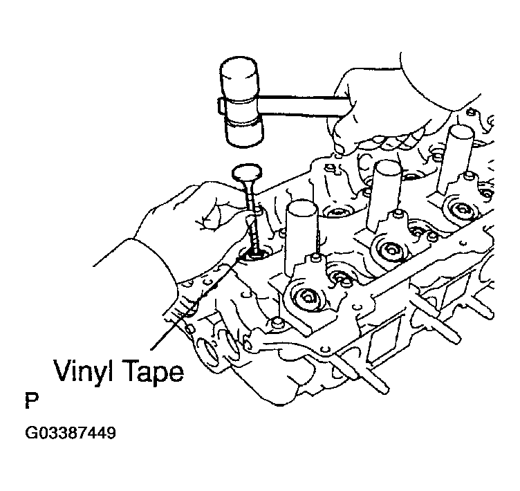 G03387449