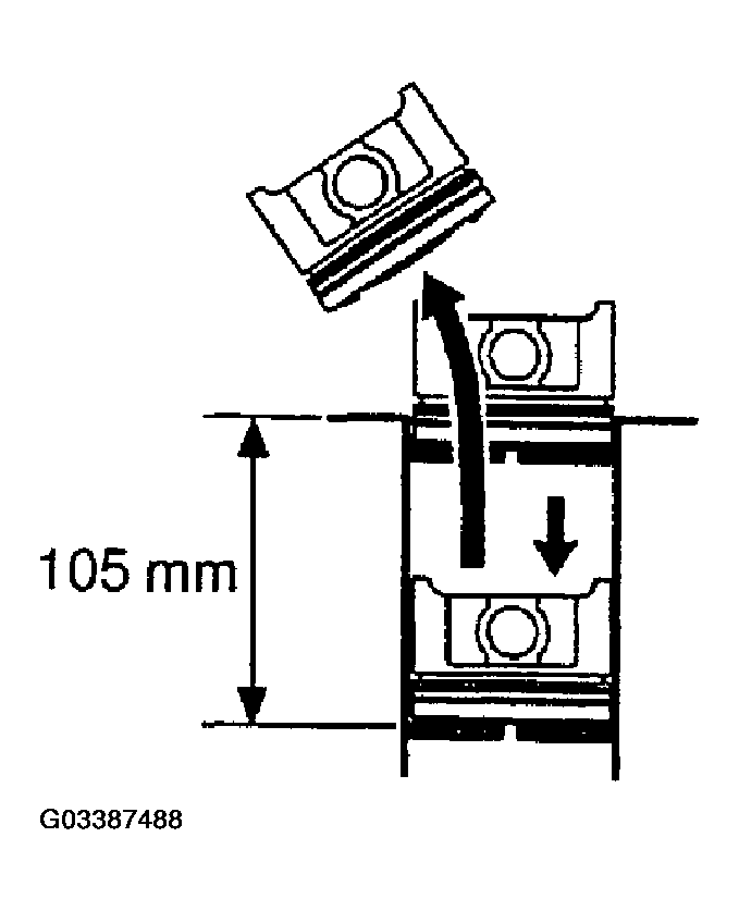 G03387488