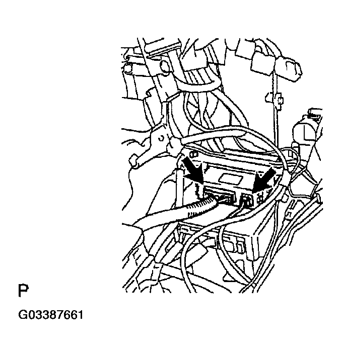 G03387661